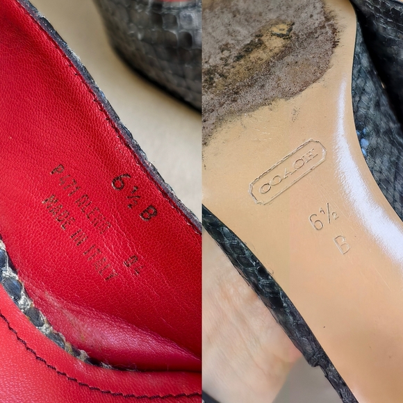 Coach Elegant Gray Snakeskin Pointed Toe Slingback Heels - Picture 8 of 8